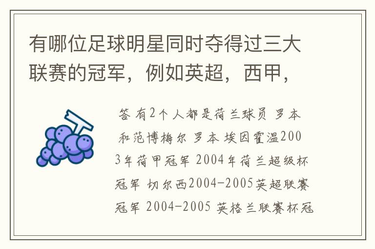 有哪位足球明星同时夺得过三大联赛的冠军，例如英超，西甲，德甲或意甲，应该没有吧