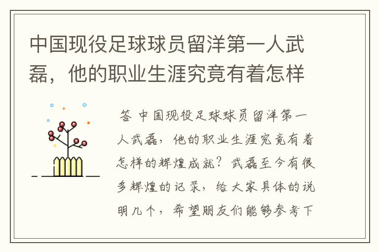 中国现役足球球员留洋第一人武磊，他的职业生涯究竟有着怎样的辉煌成就？