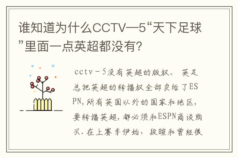 谁知道为什么CCTV—5“天下足球”里面一点英超都没有？