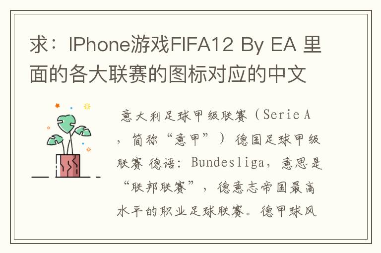 求：IPhone游戏FIFA12 By EA 里面的各大联赛的图标对应的中文名称 例如：Liga BBVA 西甲