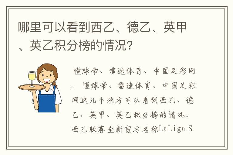 哪里可以看到西乙、德乙、英甲、英乙积分榜的情况？