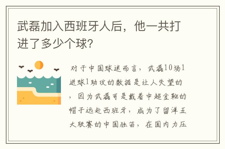 武磊加入西班牙人后，他一共打进了多少个球？