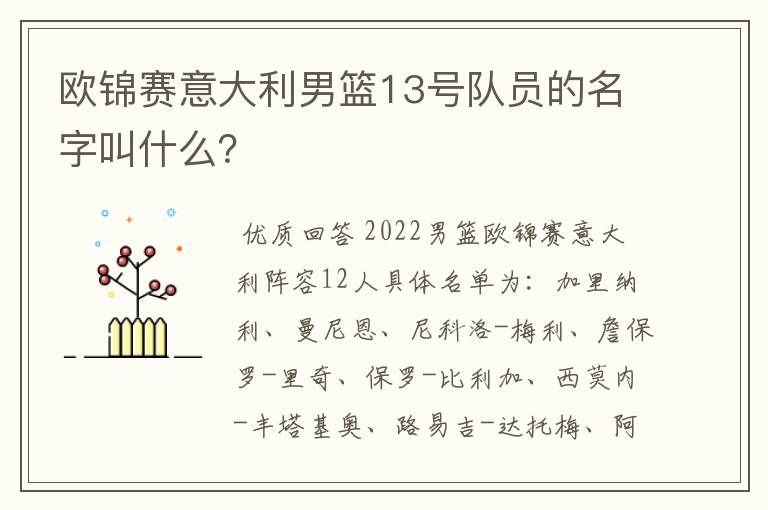 欧锦赛意大利男篮13号队员的名字叫什么？