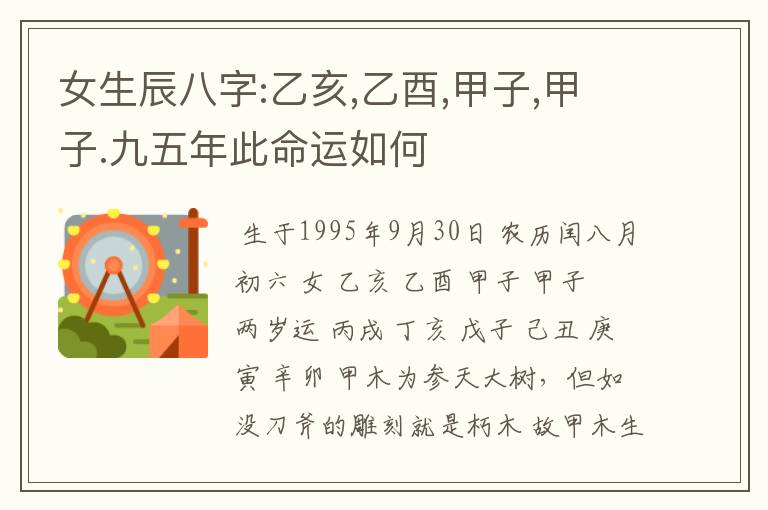 女生辰八字:乙亥,乙酉,甲子,甲子.九五年此命运如何