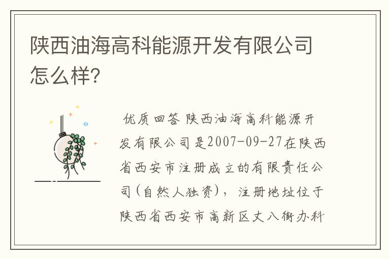 陕西油海高科能源开发有限公司怎么样？