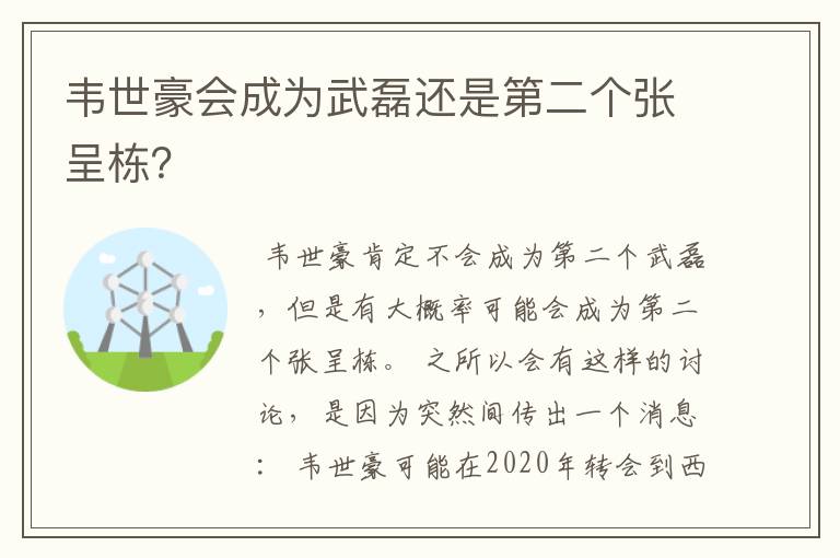 韦世豪会成为武磊还是第二个张呈栋？