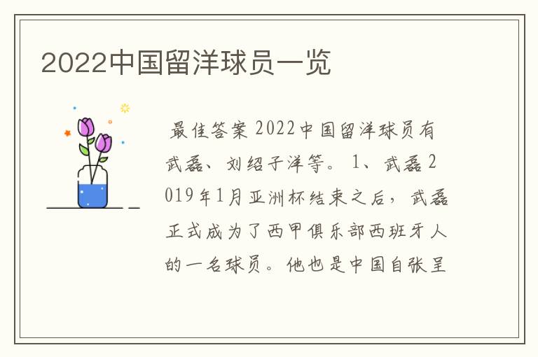 2022中国留洋球员一览