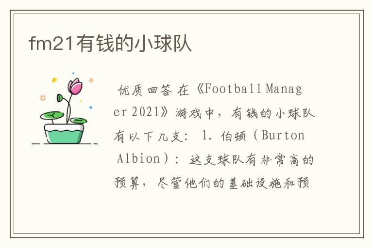 fm21有钱的小球队