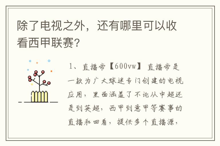 除了电视之外，还有哪里可以收看西甲联赛?