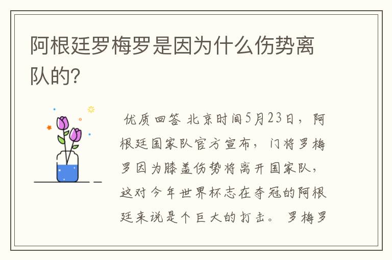 阿根廷罗梅罗是因为什么伤势离队的？