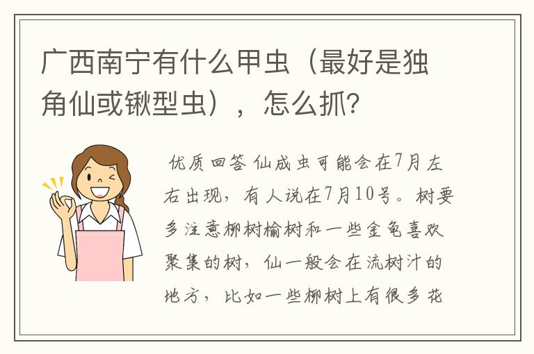 广西南宁有什么甲虫（最好是独角仙或锹型虫），怎么抓？