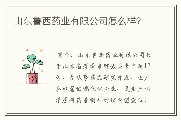 山东鲁西药业有限公司怎么样？