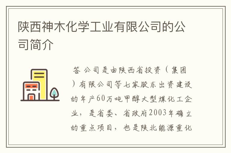 陕西神木化学工业有限公司的公司简介