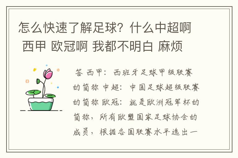 怎么快速了解足球？什么中超啊 西甲 欧冠啊 我都不明白 麻烦 有哪位特别了解足球的 跟我讲讲，多谢