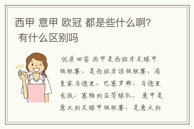 西甲 意甲 欧冠 都是些什么啊？ 有什么区别吗