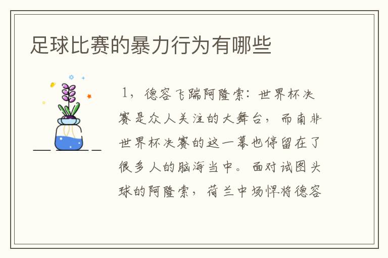 足球比赛的暴力行为有哪些