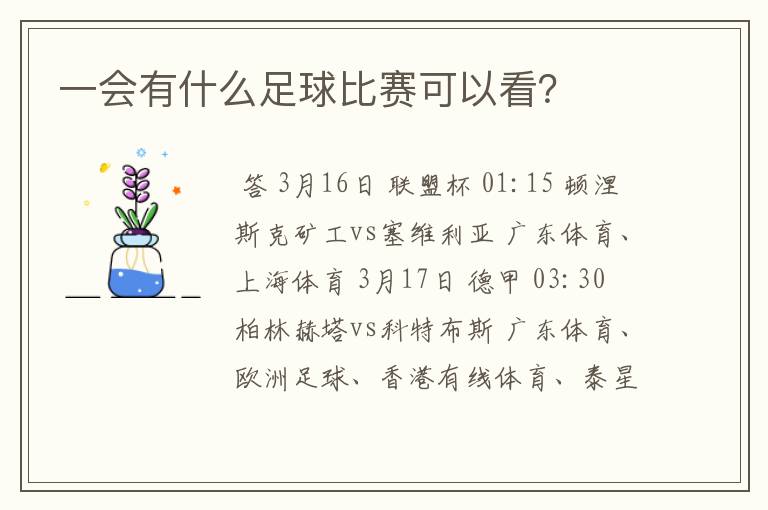 一会有什么足球比赛可以看？