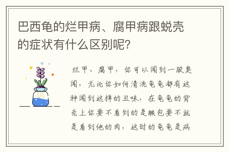 巴西龟的烂甲病、腐甲病跟蜕壳的症状有什么区别呢？