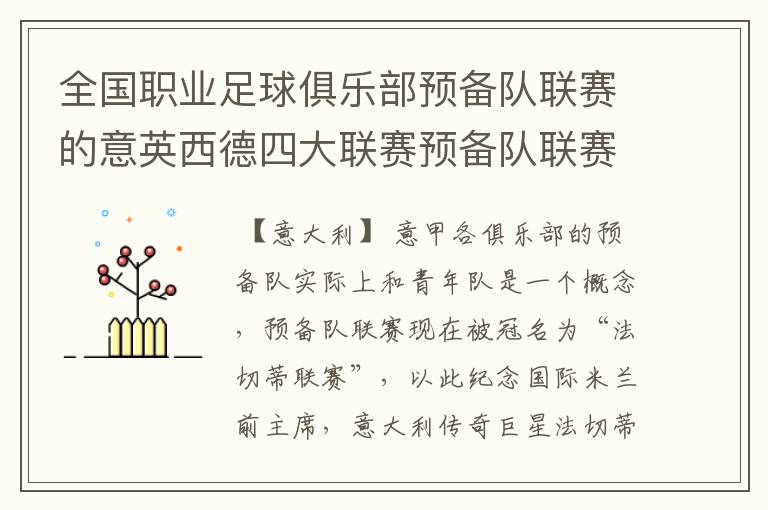 全国职业足球俱乐部预备队联赛的意英西德四大联赛预备队联赛制度比较