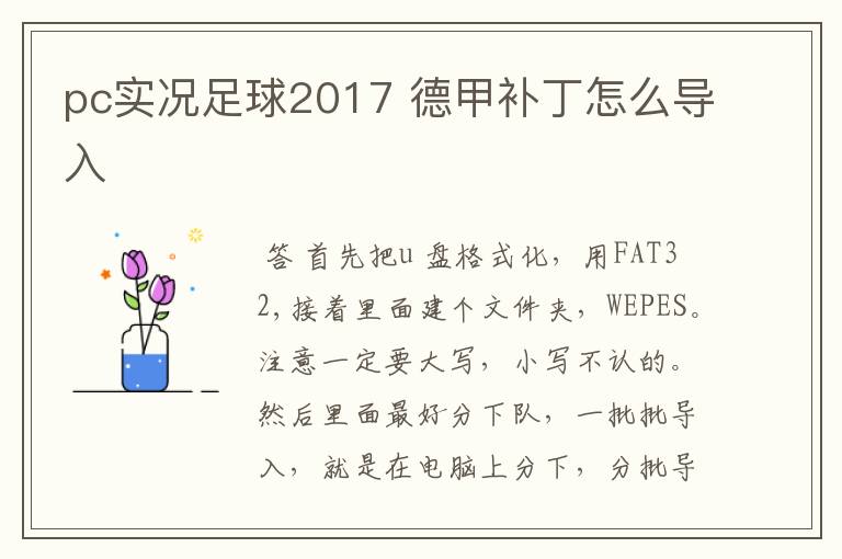 pc实况足球2017 德甲补丁怎么导入