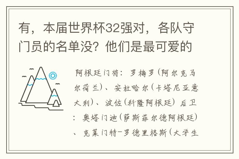 有，本届世界杯32强对，各队守门员的名单没？他们是最可爱的人