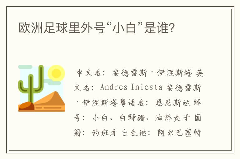 欧洲足球里外号“小白”是谁？