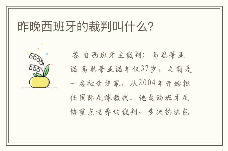 昨晚西班牙的裁判叫什么？