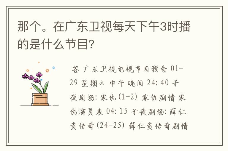 那个。在广东卫视每天下午3时播的是什么节目？