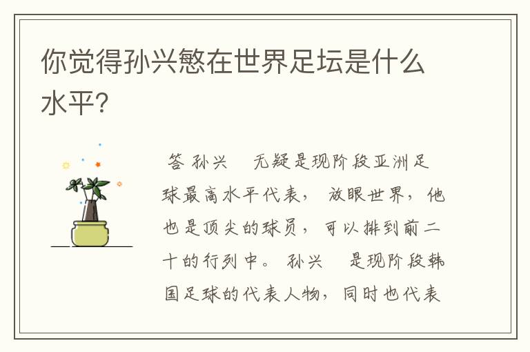 你觉得孙兴慜在世界足坛是什么水平？