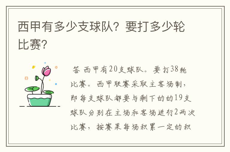 西甲有多少支球队？要打多少轮比赛？