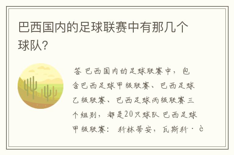 巴西国内的足球联赛中有那几个球队？