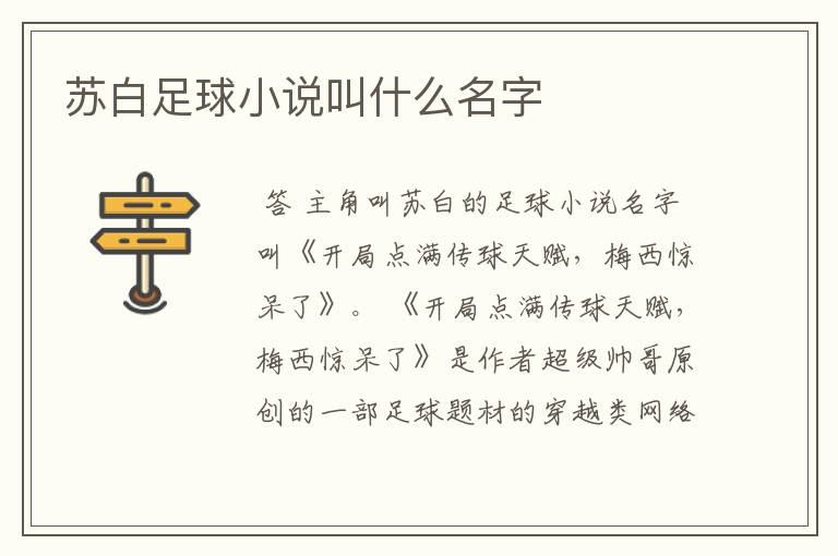 苏白足球小说叫什么名字