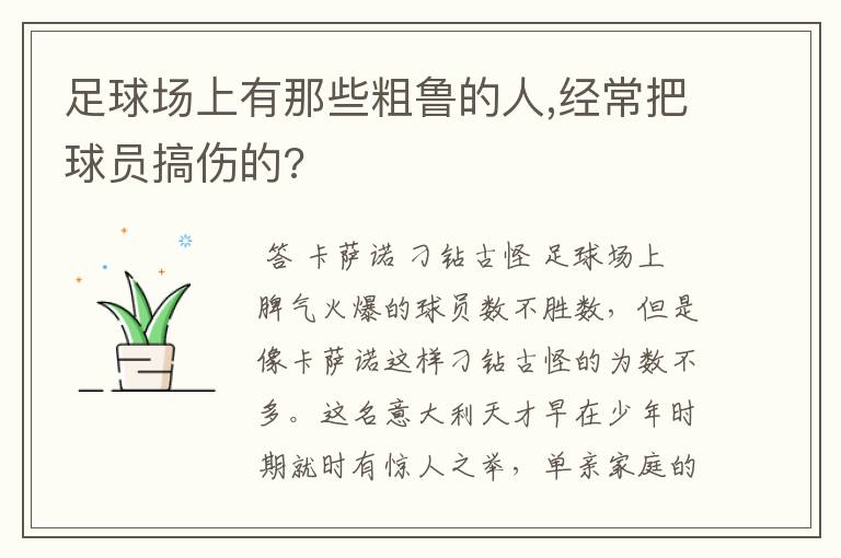 足球场上有那些粗鲁的人,经常把球员搞伤的?