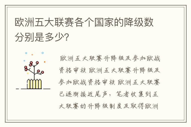 欧洲五大联赛各个国家的降级数分别是多少？