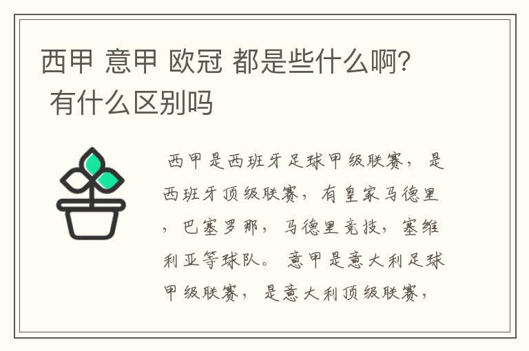 西甲 意甲 欧冠 都是些什么啊？ 有什么区别吗