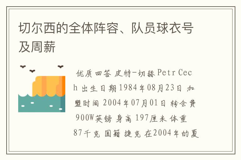 切尔西的全体阵容、队员球衣号及周薪