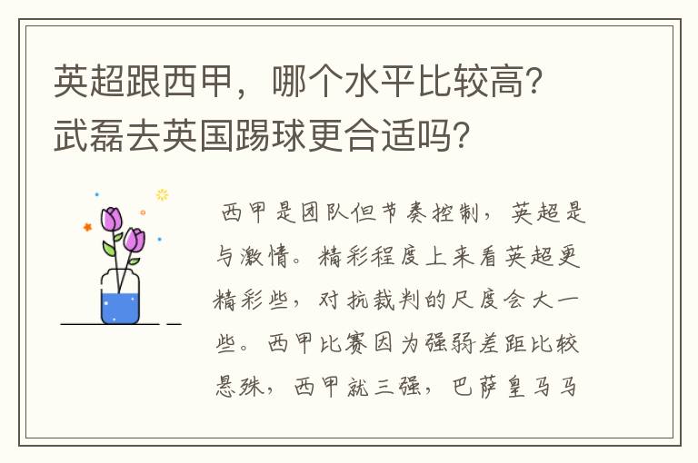 英超跟西甲，哪个水平比较高？武磊去英国踢球更合适吗？