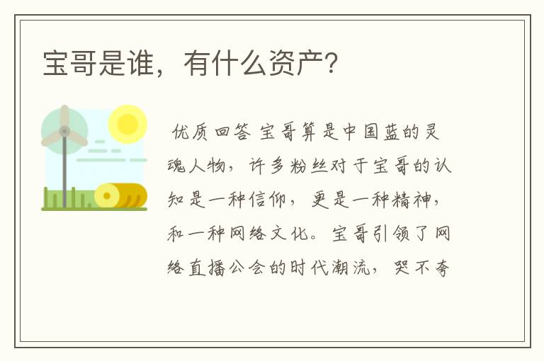 宝哥是谁，有什么资产？