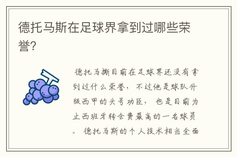 德托马斯在足球界拿到过哪些荣誉？