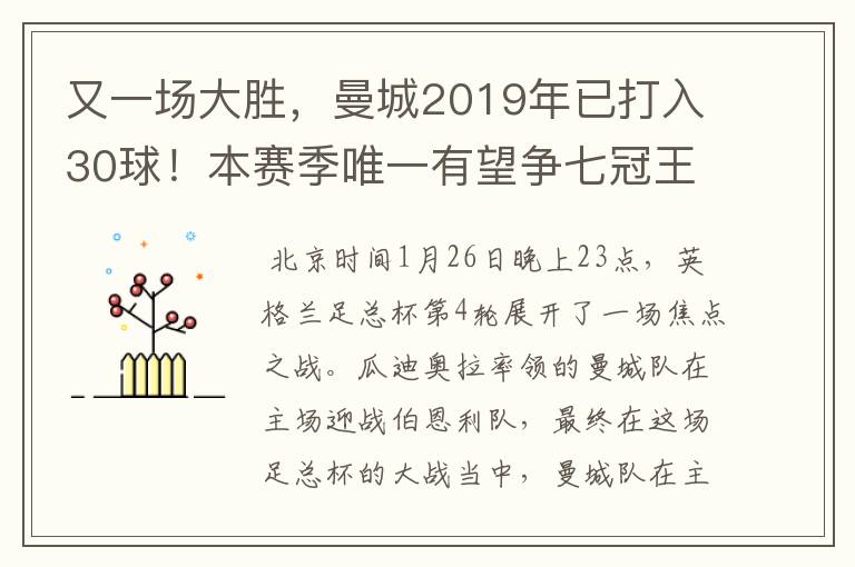 又一场大胜，曼城2019年已打入30球！本赛季唯一有望争七冠王球队