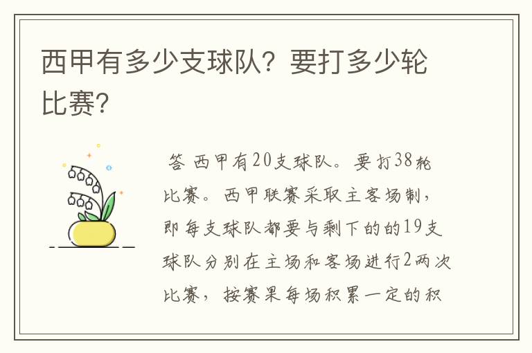 西甲有多少支球队？要打多少轮比赛？