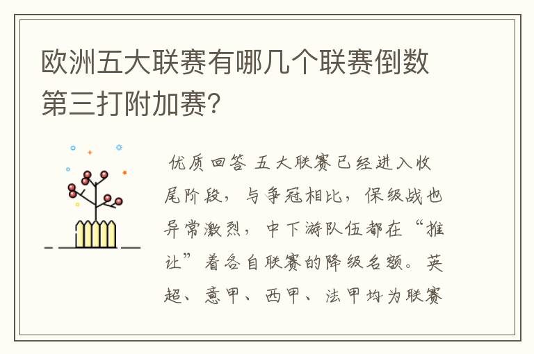 欧洲五大联赛有哪几个联赛倒数第三打附加赛？