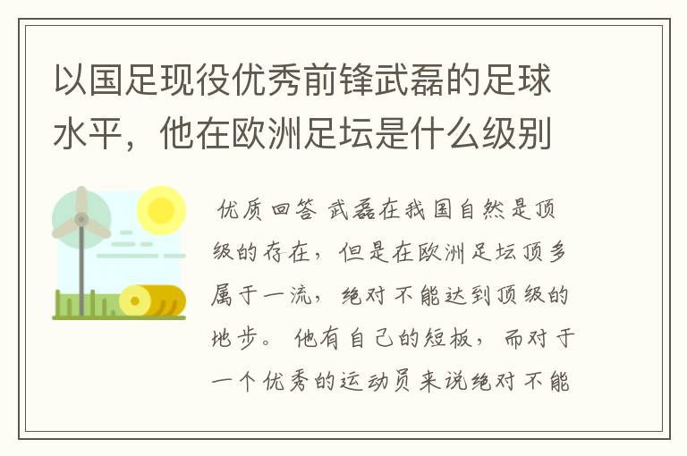 以国足现役优秀前锋武磊的足球水平，他在欧洲足坛是什么级别的球员?