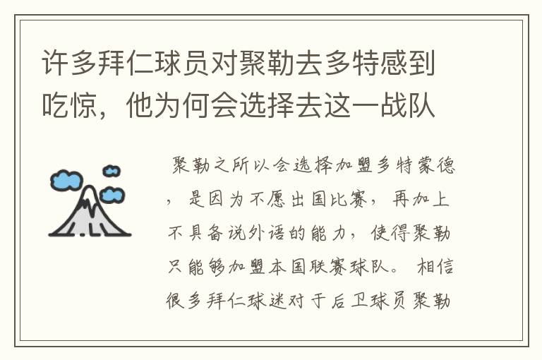 许多拜仁球员对聚勒去多特感到吃惊，他为何会选择去这一战队？