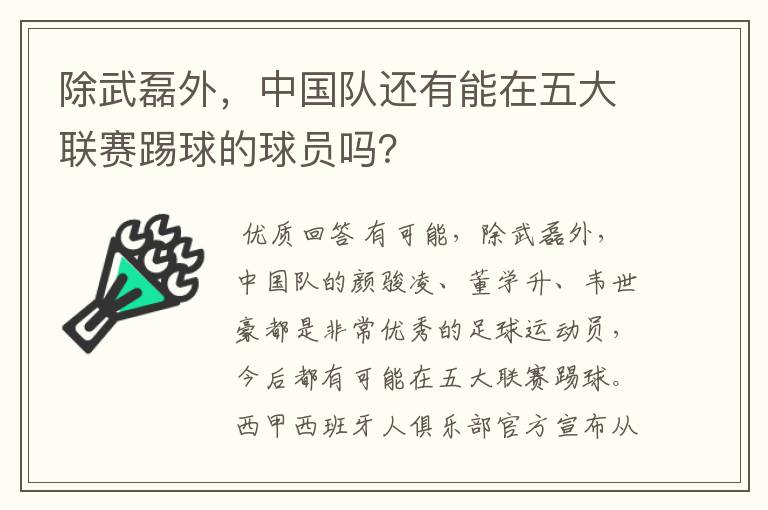 除武磊外，中国队还有能在五大联赛踢球的球员吗？