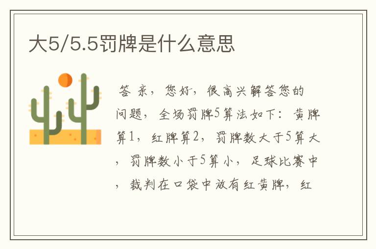 大5/5.5罚牌是什么意思