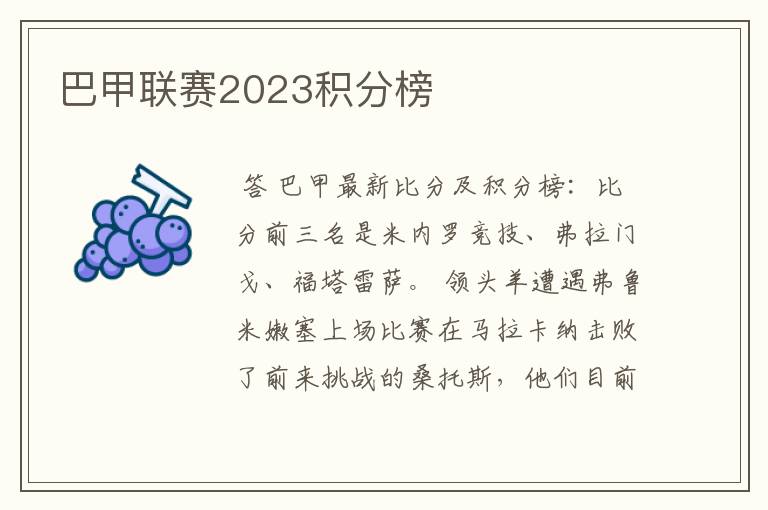 巴甲联赛2023积分榜