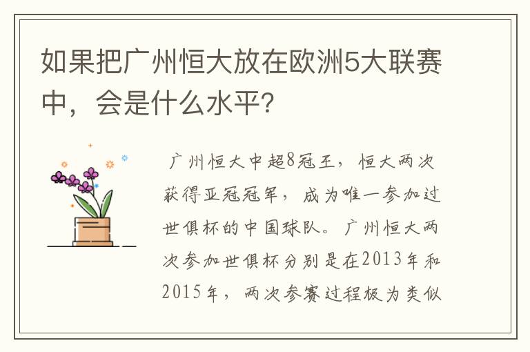 如果把广州恒大放在欧洲5大联赛中，会是什么水平？