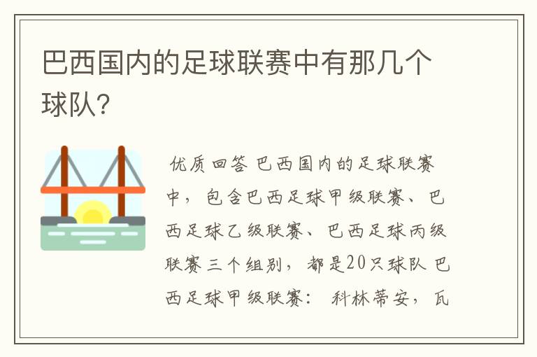 巴西国内的足球联赛中有那几个球队？