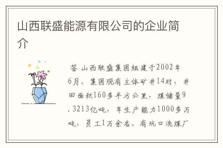 山西联盛能源有限公司的企业简介